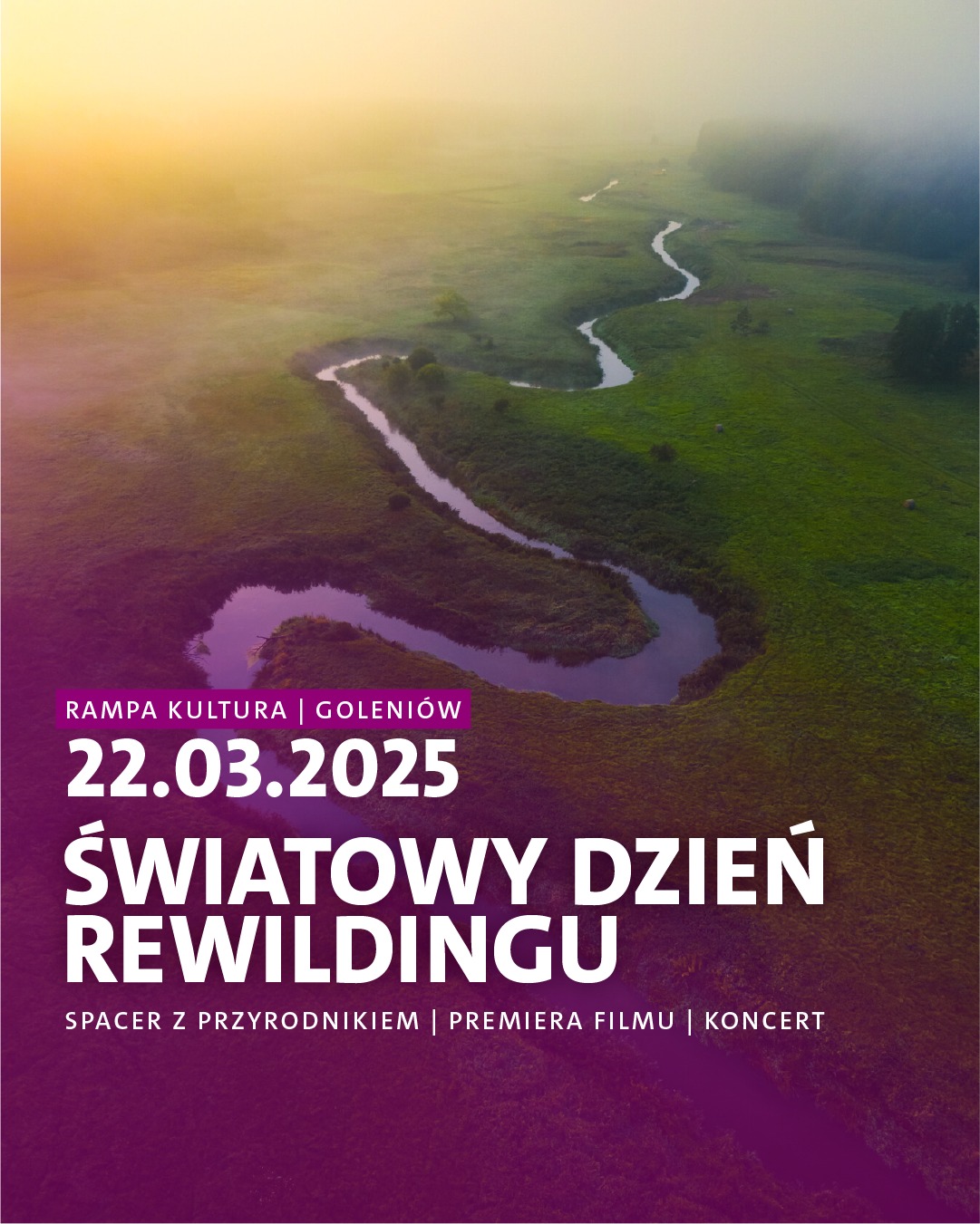 rewilding goleniow