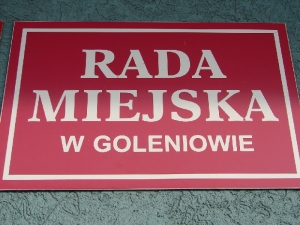 IX Sesja Rady Miejskiej