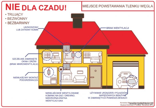   Nie! dla czadu